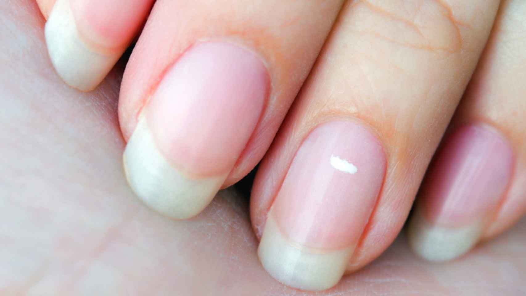 Soft gel nail tips para manicura Round Medium