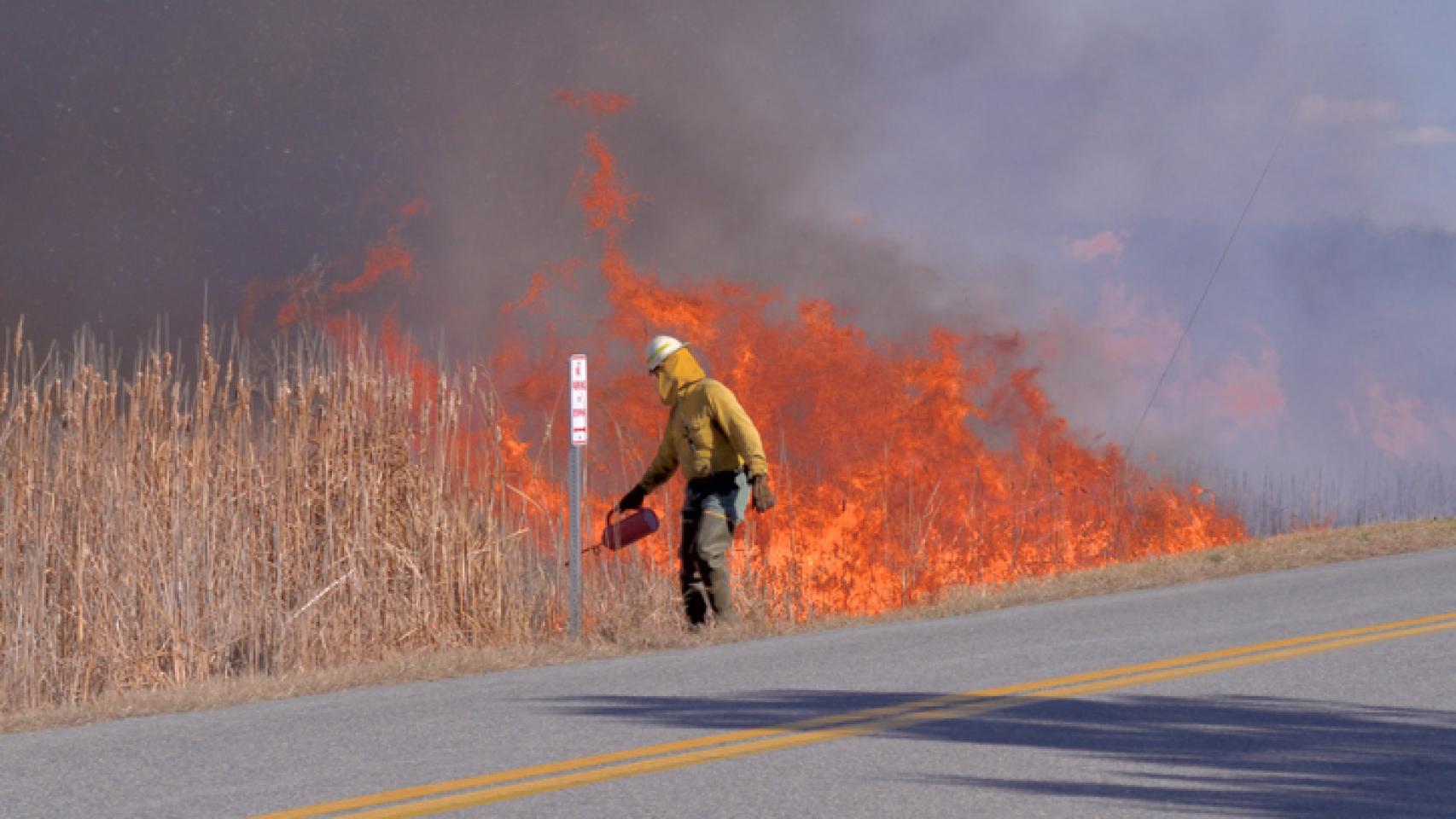 Controlled burn