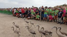 Los flamencos, corriendo frente a un grupo en Fuente de Piedra.