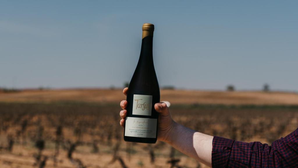La Despistada, el albillo mayor de Bodegas Tarsus