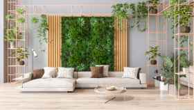 Decorar tu casa con plantas te une a la naturaleza.