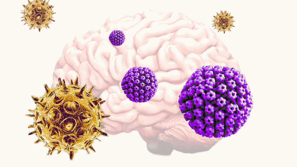 El virus varicela-zóster y el virus del herpes simple pueden actuar de desencadenantes del alzhéimer.