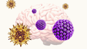 El virus varicela-zóster y el virus del herpes simple pueden actuar de desencadenantes del alzhéimer.