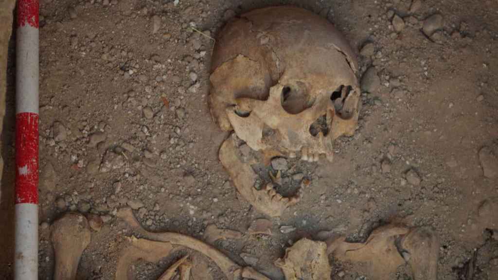 Uno de los cadáveres hallados en la necrópolis de Zorita / Foto: ArchaeoSpain