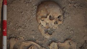 Uno de los cadáveres hallados en la necrópolis de Zorita / Foto: ArchaeoSpain
