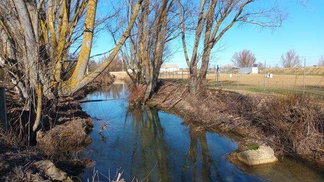 Río Sequillo (Medina de Rioseco)