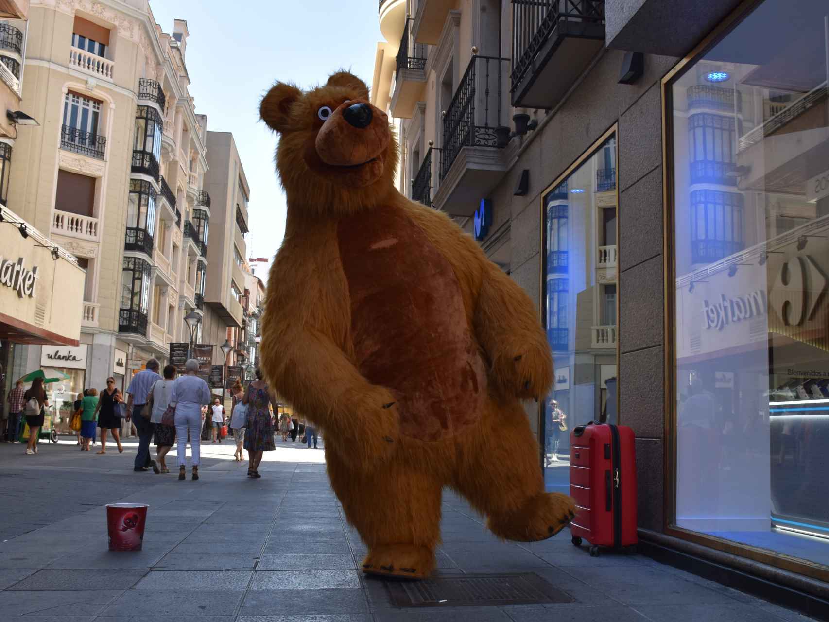 Contiene vida pañuelo de papel El sorprendente oso que desafía a la ola de calor en pleno centro de  Valladolid: "No me puedo quejar, no me va nada mal"