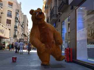El sorprendente oso que desafía a la ola de calor en pleno centro de Valladolid:  "No me puedo quejar, no me va nada mal"
