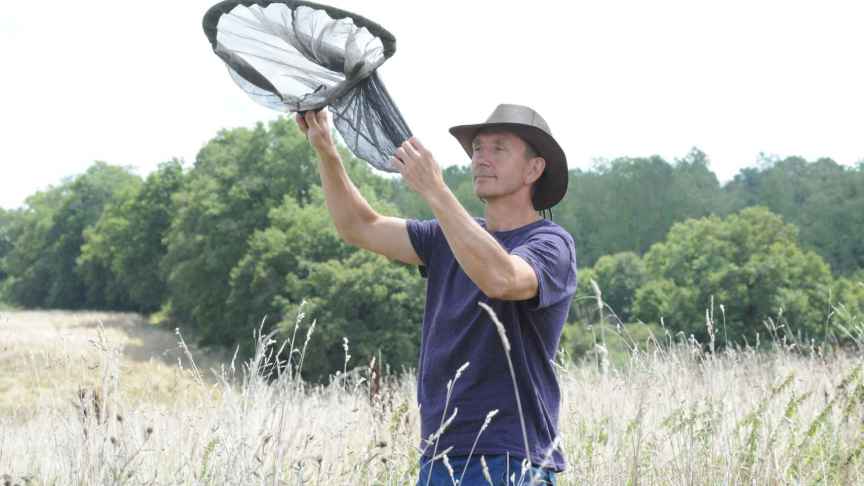El biólogo británico Dave Goulson cazando insectos para estudiarlos.