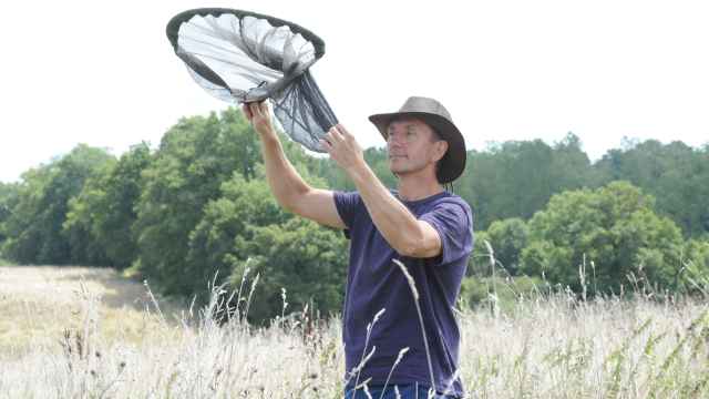 El biólogo británico Dave Goulson cazando insectos para estudiarlos.