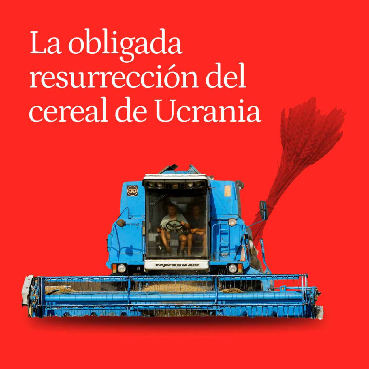 La obligada resurrección del cereal de Ucrania, entre minas y muerte: hay que vender para sembrar