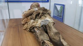 Imagen de la momia de Guano expuesta en el museo situado en el complejo arqueológico la Asunción, en Ecuador. Foto: Juan Francisco Chavez (Efe)