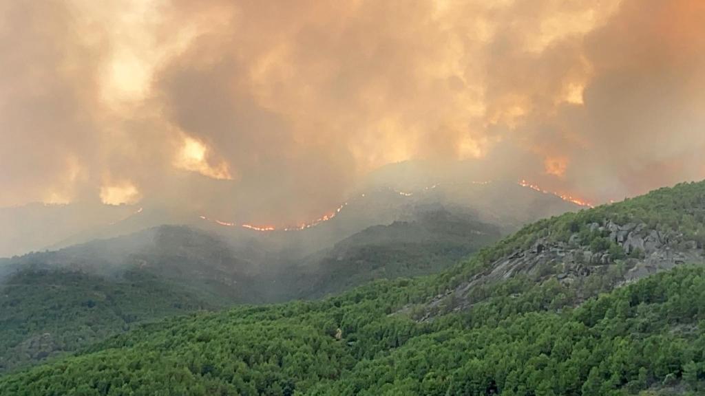 Incendio en Santa Cruz del Valle (Ávila)