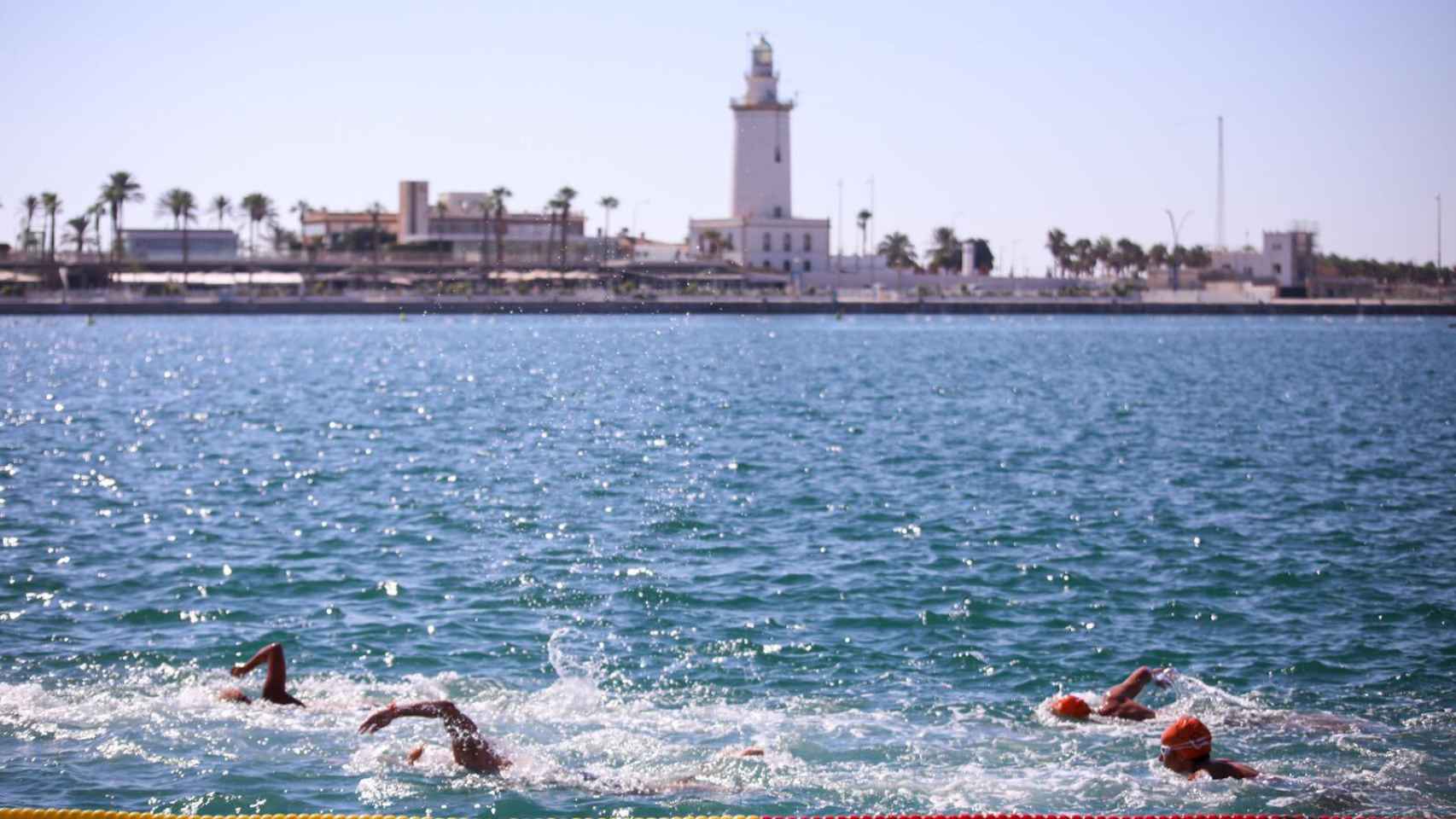 Fotos de la travesía a nado del puerto de Málaga