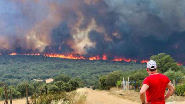 Un hombre observa las llamas del incendio declarado en Litos, Zamora, el pasado 17 de julio