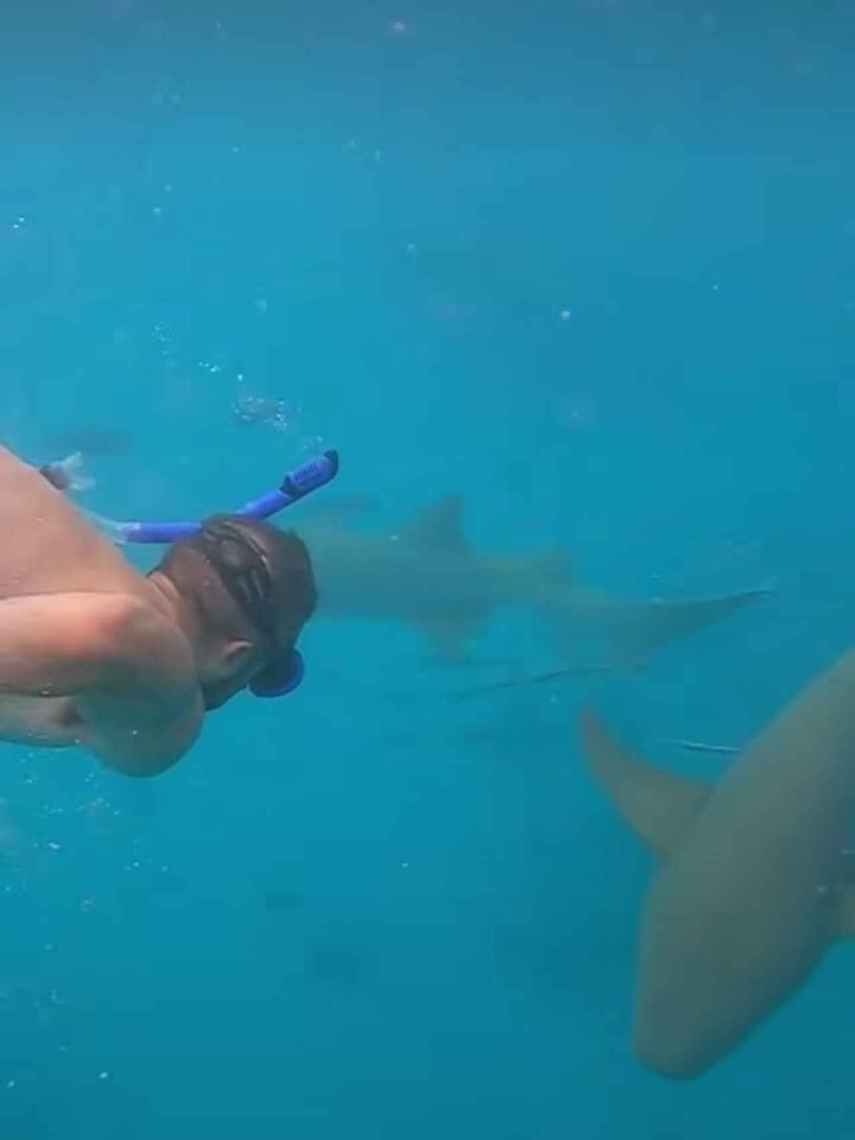 El presentador, en un momento de su inmersión con tiburones.