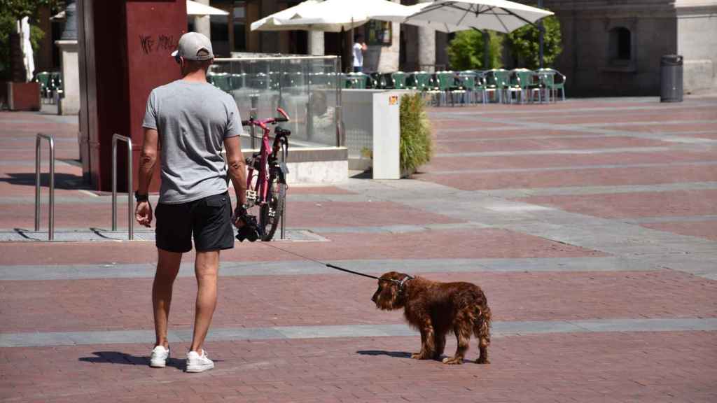 Un hombre pasea con su perro por una calle de Valladolid