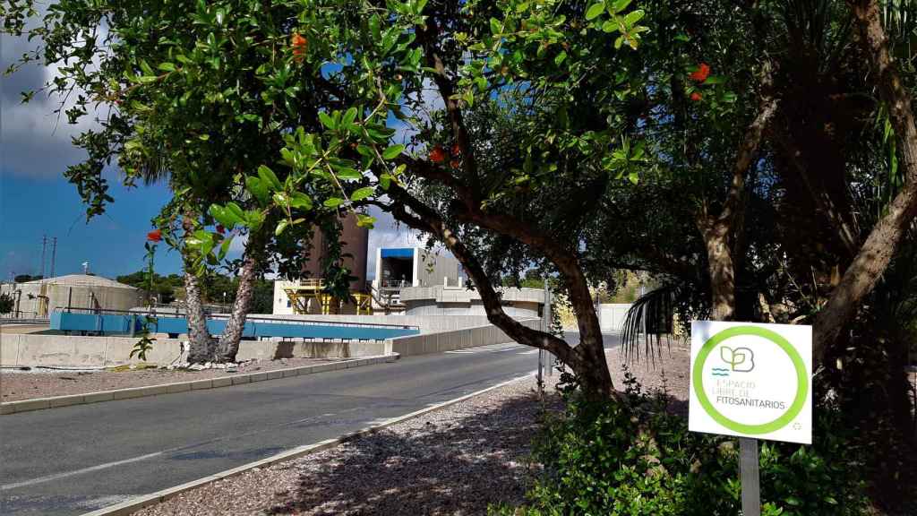 Mantenimiento ecológico en el 100% de instalaciones de Aguas de Alicante para preservación de la  biodiversidad