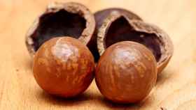 La forma perfectamente redonda de las nueces de macadamia es perfectamente reconocible.
