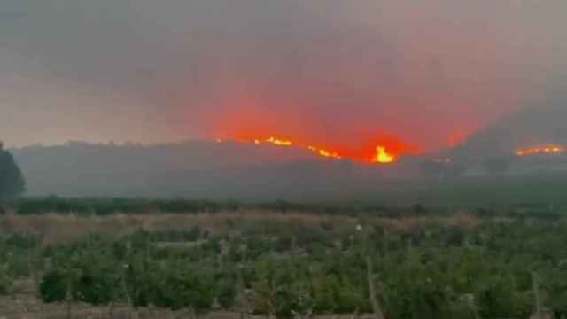 Dos incendios forestales se han declarado en el entorno de Hellín (Albacete).