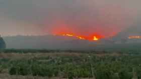 Dos incendios forestales se han declarado en el entorno de Hellín (Albacete).