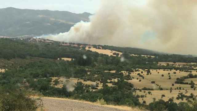 La Junta baja a nivel 0 el incendio forestal de Becerril, en Segovia, tras estar controlado