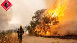 El incendio de la Vall d'Ebo ya afecta a un perímetro de 50 kilómetros y obliga a evacuar otros cinco pueblos