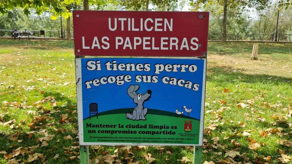lucha de Talavera para limpiar la ciudad excrementos: "Si tienes perro, recoge sus cacas"