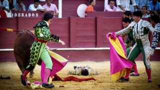 Fortes paga con el drama su arrojo torero en La Malagueta