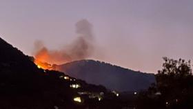 Un incendio forestal en Casares (Málaga).