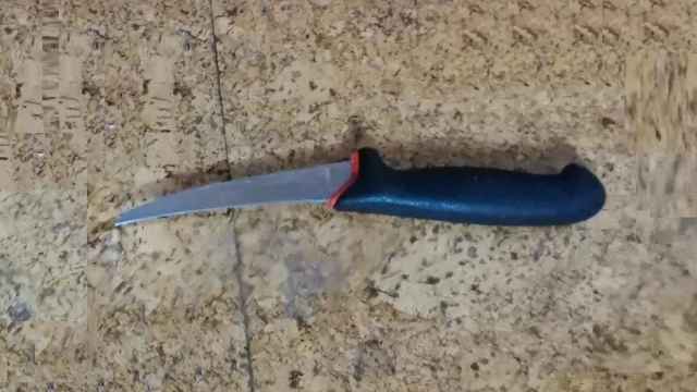Imagen del cuchillo de cocina utilizado por la mujer en Burgos.