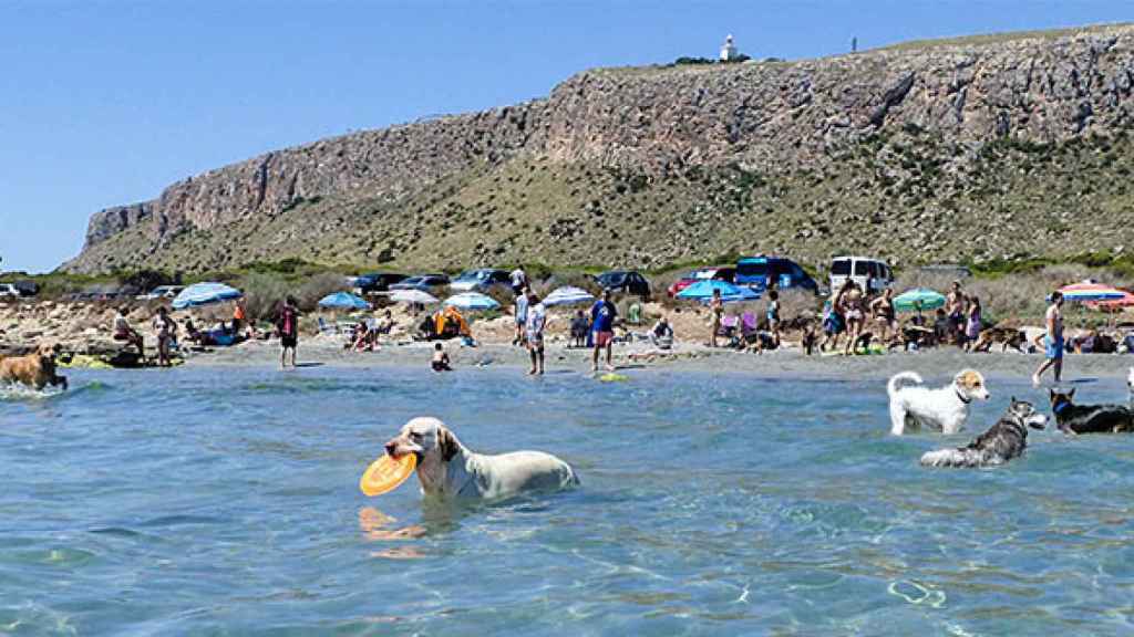 Playa de la Caleta dels Gossets.