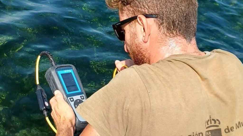 Un técnico de la Comunidad Autónoma, este verano, en el Mar Menor, midiendo parámetros como la temperatura y el oxígeno del agua.