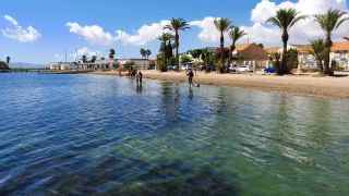 Unos operarios retirando algas de una playa del Mar Menor, en el municipio de Los Alcázares.