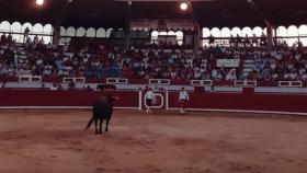 Concurso de cortes de Pedrajas de San Esteban