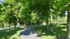 Imagen del Parque Wurzburg en Salamanca.