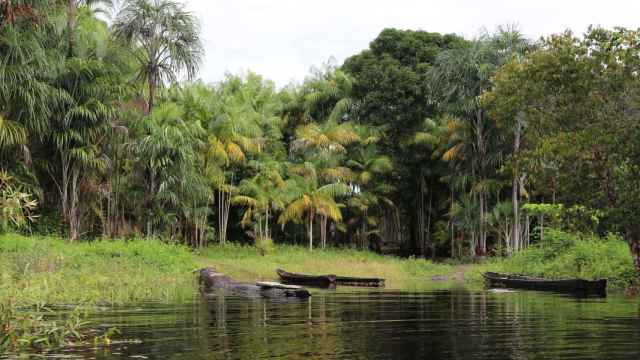 Embarcaciones en la orilla de un río de la Amazonía