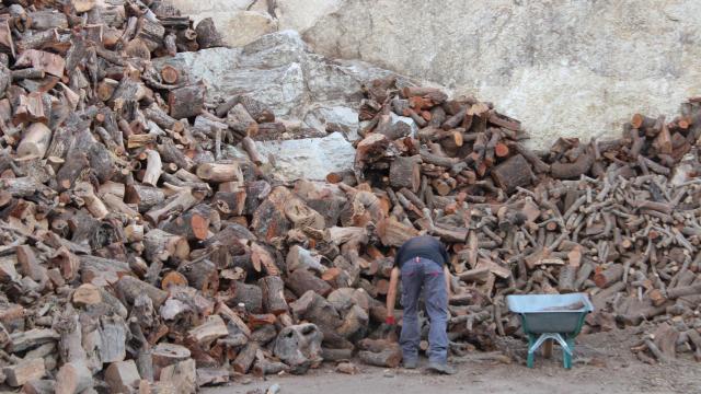 Un trabajador cargando leña.