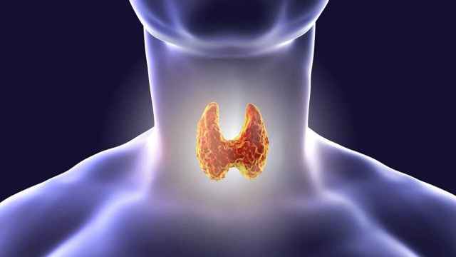 Ilustración de la tiroide, una glándula ubicada en la garganta.