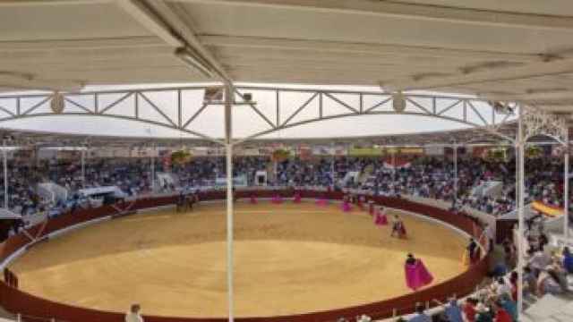 La ganadería vallisoletana de Toros de Brazuelas lidiará una novillada en Pozuelo de Alarcón