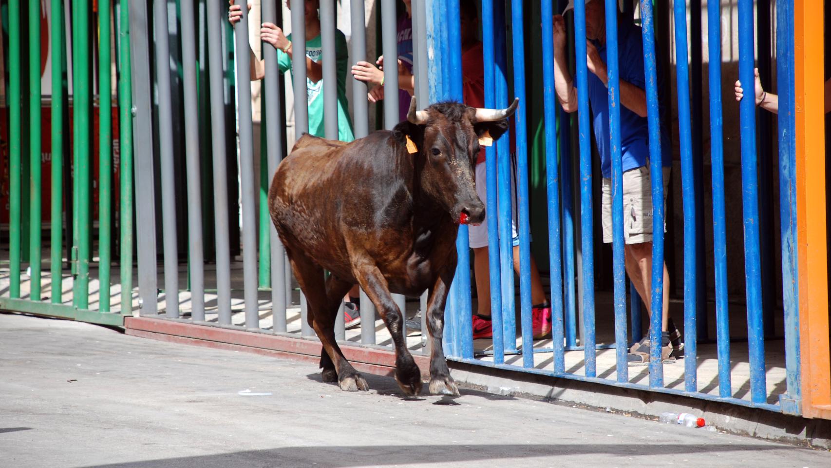 Los Bous Al Carrer Dejan Dos Nuevos Heridos En Valencia Y Castell N