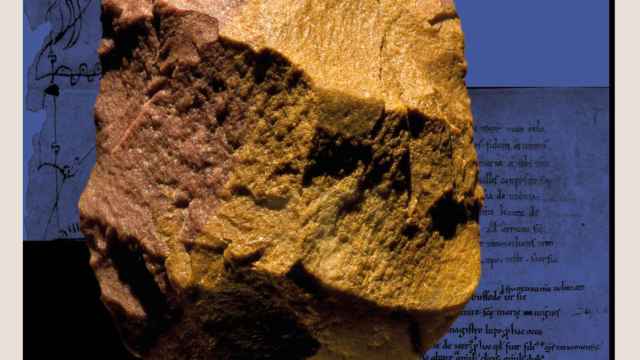 Una oportunidad única para ver en Zamora réplicas de los fósiles humanos más emblemáticos de Atapuerca
