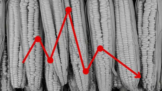 Imagen de una gráfica sobre un fondo de mazorcas de maíz.