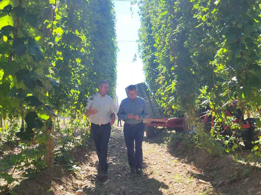 El consejero de Agricultura, Gerardo Dueñas, durante su visita a una explotación de Lúpulo en Turcia (León), este lunes.