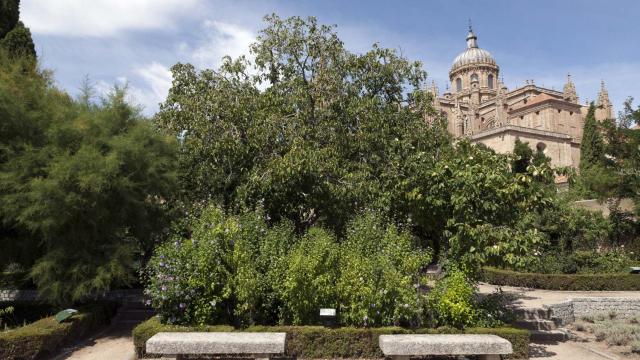 Imagen del Huerto de Calixto y Melibea