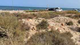 Estado de la playa de Agua Amarga en Alicante con piedras desplazadas.