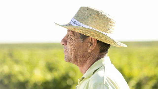 Un vino para disfrutar del ahora y los momento venideros