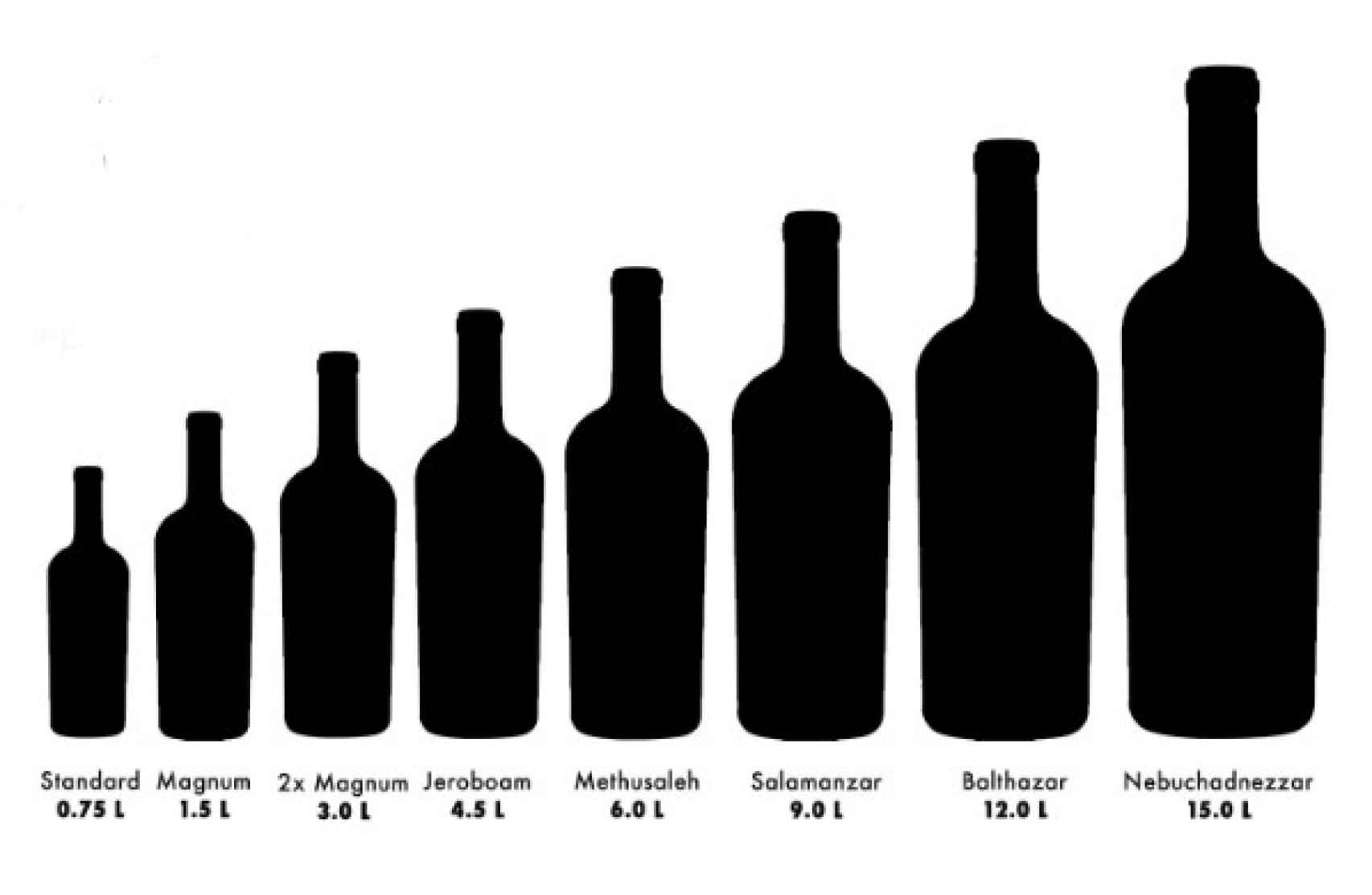 Tipos de botellas según su tamaño