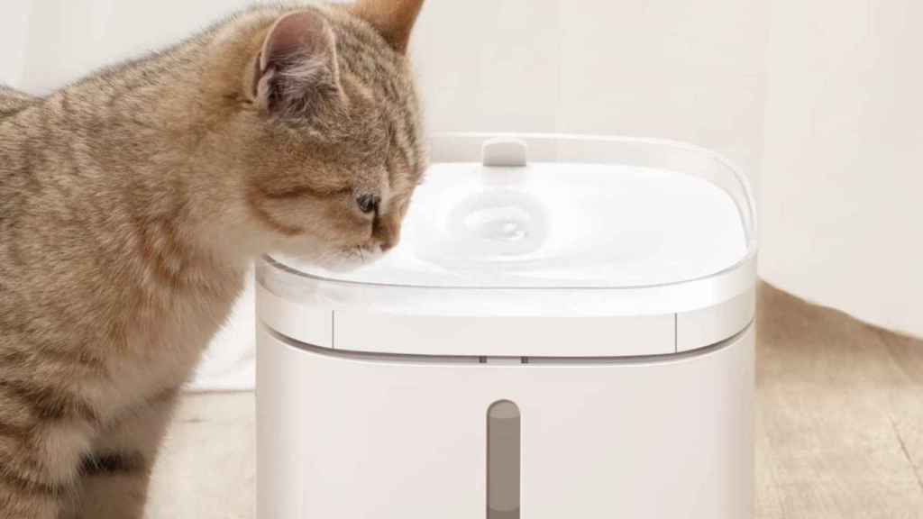 Xiaomi and its feeder and waterer for dogs and cats in Europe