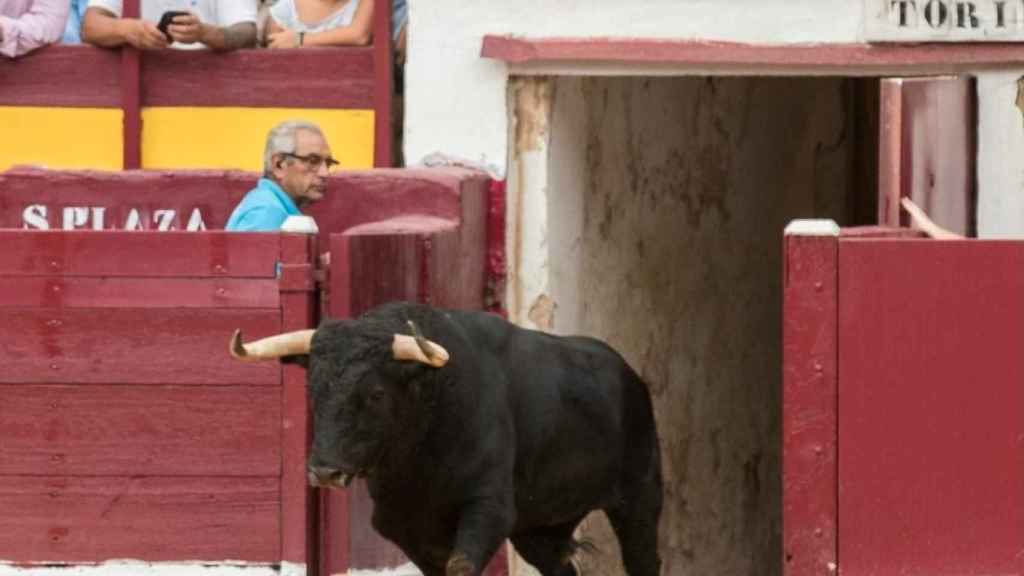 'Limpiador', este lunes, a su salida al coso taurino de La Condomina en Murcia.
